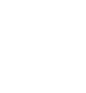 Stronghold S2